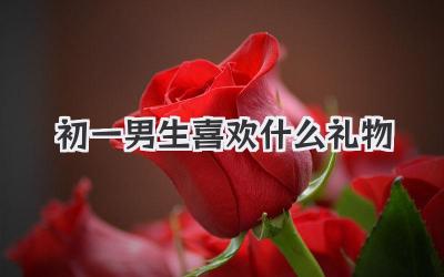 初一男生喜欢什么礼物