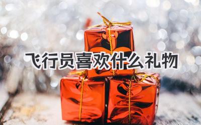 飞行员喜欢什么礼物