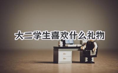 大二学生喜欢什么礼物