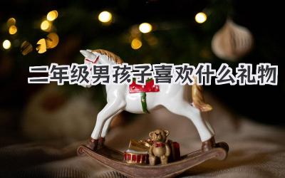 二年级男孩子喜欢什么礼物