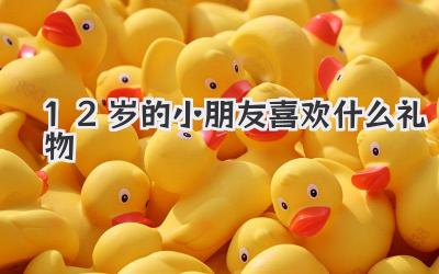 12岁的小朋友喜欢什么礼物