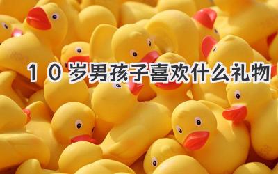 10岁男孩子喜欢什么礼物