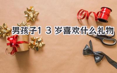 男孩子13岁喜欢什么礼物