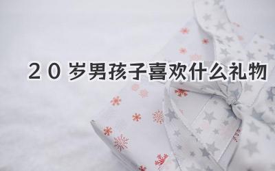 20岁男孩子喜欢什么礼物