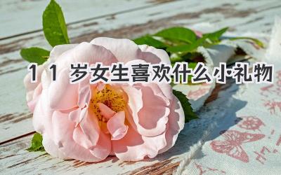 11岁女生喜欢什么小礼物