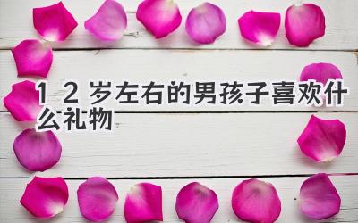 12岁左右的男孩子喜欢什么礼物