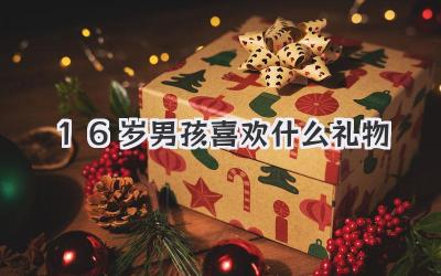 16岁男孩喜欢什么礼物