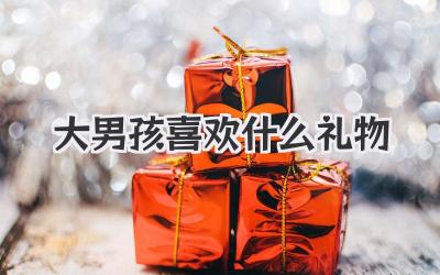 大男孩喜欢什么礼物