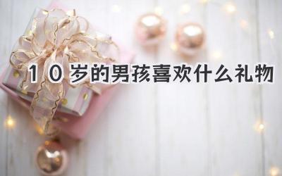 10岁的男孩喜欢什么礼物
