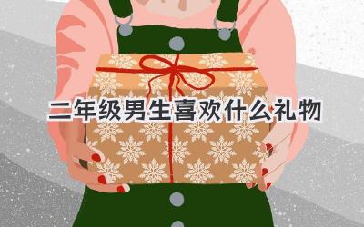 二年级男生喜欢什么礼物
