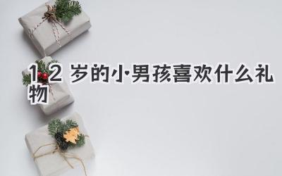 12岁的小男孩喜欢什么礼物