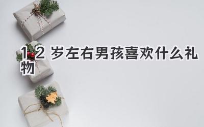12岁左右男孩喜欢什么礼物