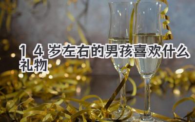 14岁左右的男孩喜欢什么礼物