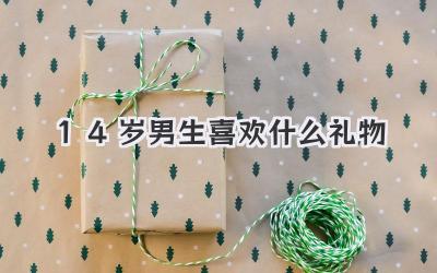 14岁男生喜欢什么礼物