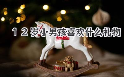 12岁小男孩喜欢什么礼物