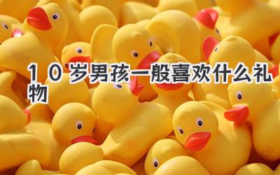 10岁男孩一般喜欢什么礼物