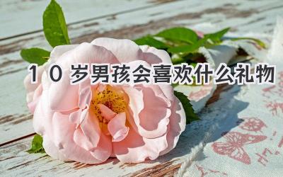 10岁男孩会喜欢什么礼物