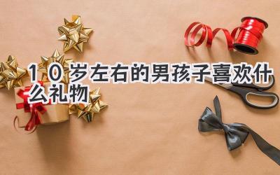 10岁左右的男孩子喜欢什么礼物
