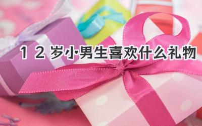 12岁小男生喜欢什么礼物