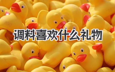 调料喜欢什么礼物