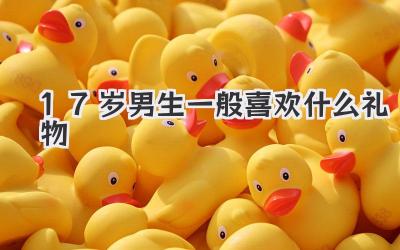 17岁男生一般喜欢什么礼物
