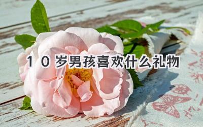 10岁男孩喜欢什么礼物