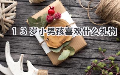 13岁小男孩喜欢什么礼物