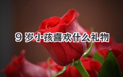 9岁小孩喜欢什么礼物