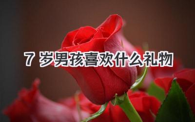 7岁男孩喜欢什么礼物
