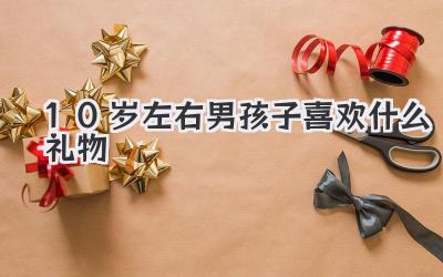 10岁左右男孩子喜欢什么礼物