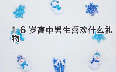 16岁高中男生喜欢什么礼物
