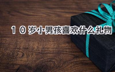 10岁小男孩喜欢什么礼物