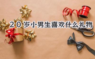 20岁小男生喜欢什么礼物