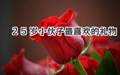 25岁小伙子最喜欢的礼物
