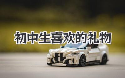 初中生喜欢的礼物