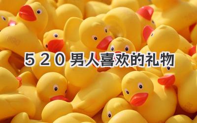 520男人喜欢的礼物
