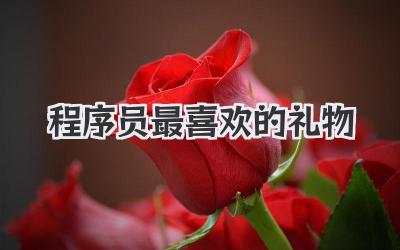 程序员最喜欢的礼物