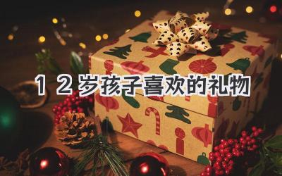 12岁孩子喜欢的礼物