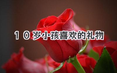 10岁小孩喜欢的礼物