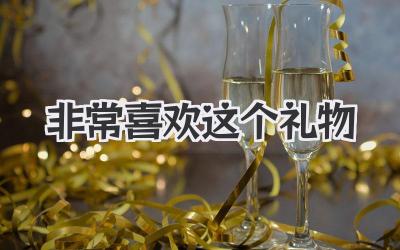 非常喜欢这个礼物