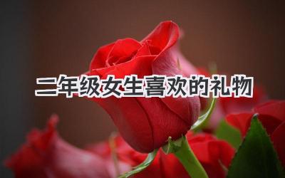 二年级女生喜欢的礼物