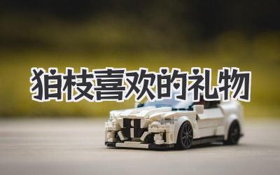 狛枝喜欢的礼物