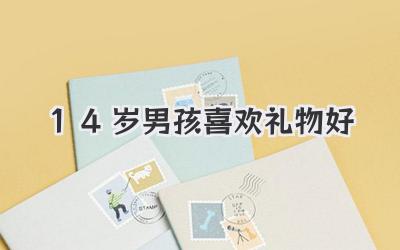 14岁男孩喜欢礼物好
