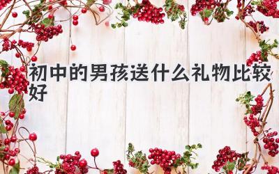 初中的男孩送什么礼物比较好