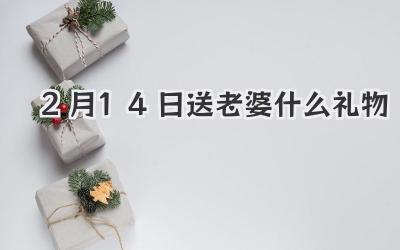 2月14日送老婆什么礼物