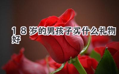 18岁的男孩子买什么礼物好