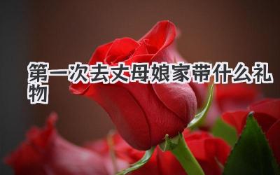 第一次去丈母娘家带什么礼物