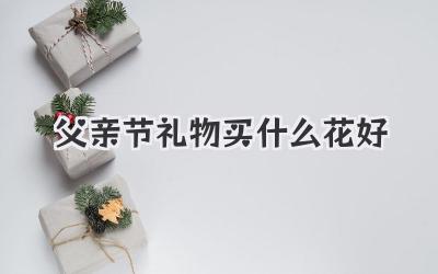 父亲节礼物买什么花好