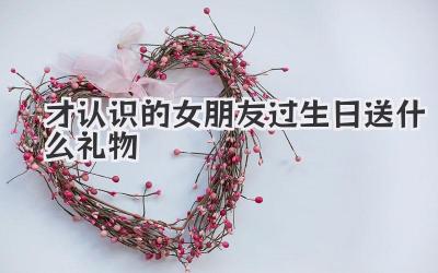 才认识的女朋友过生日送什么礼物