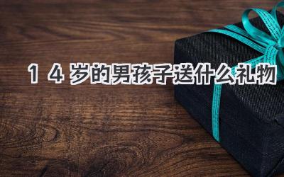 14岁的男孩子送什么礼物
